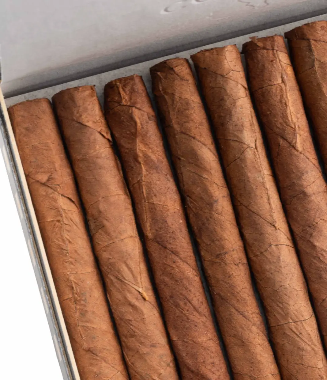 Cohiba Club 2023 Edition Cigar Box View 4 from AuCigars, premium Cuban cigar