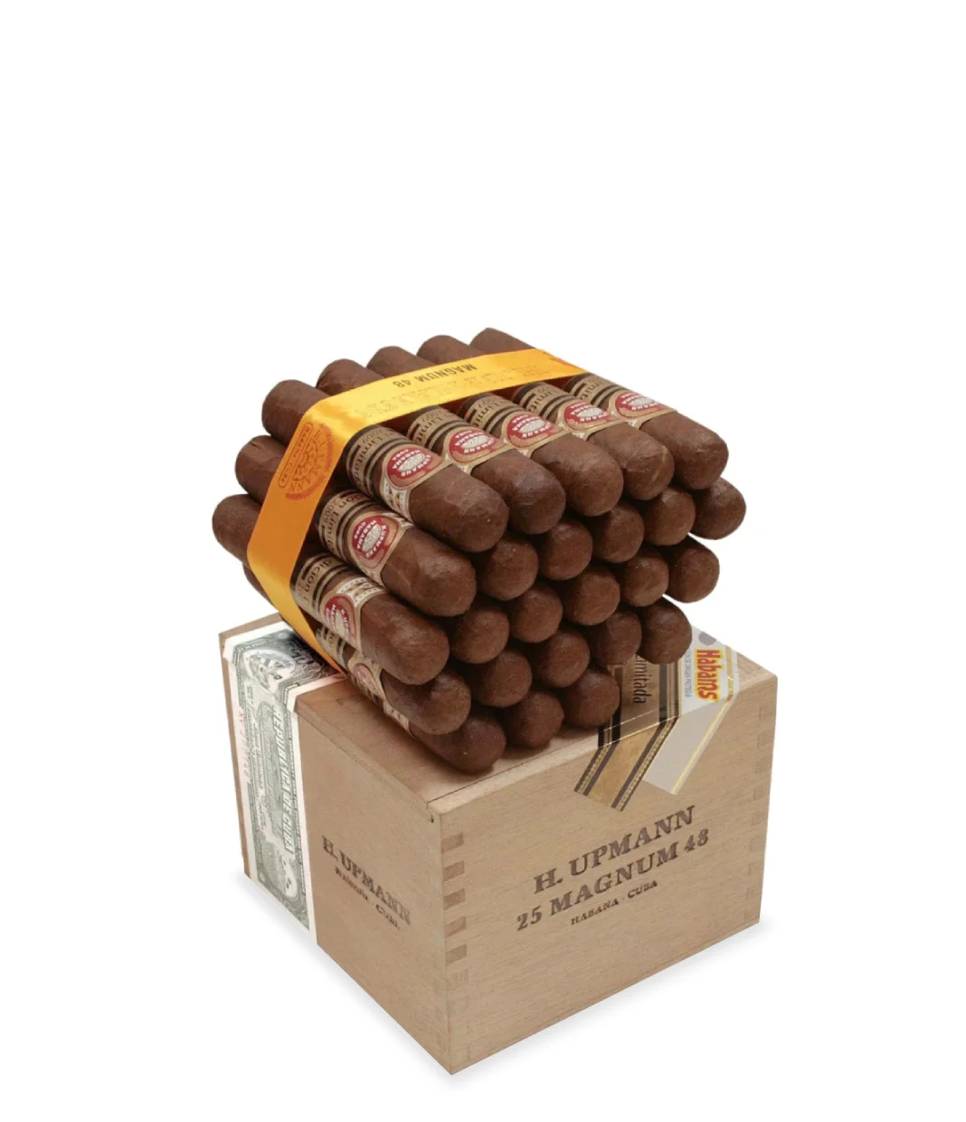 H. Upmann Magnum 48 Edicion Limitada 2009 Cigar Box of 25 close-up from AuCigars, premium Cuban cigar