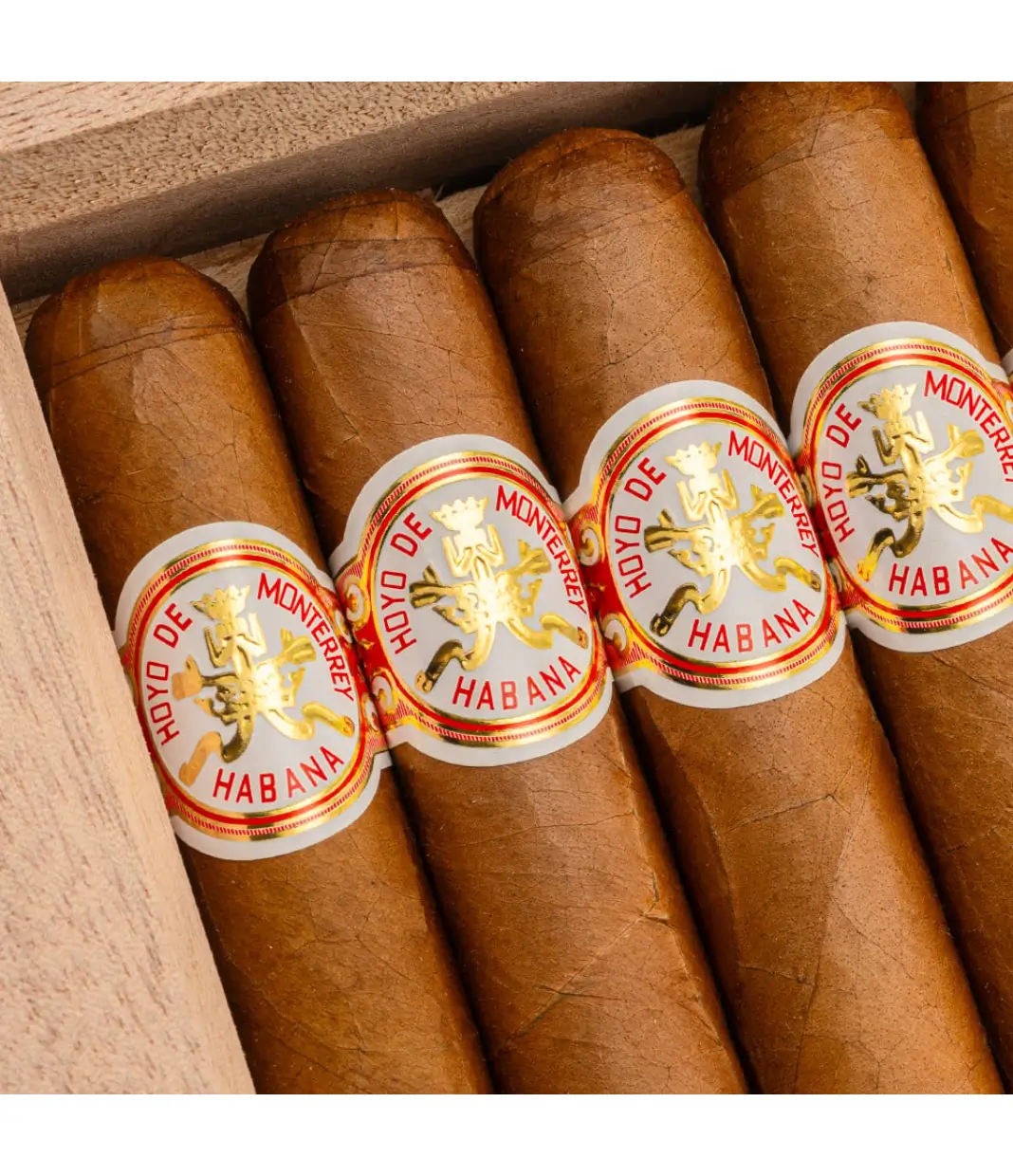 Hoyo De Monterrey Destinos Travel Humidor Cigar Box View 4 from AuCigars, premium Cuban cigar