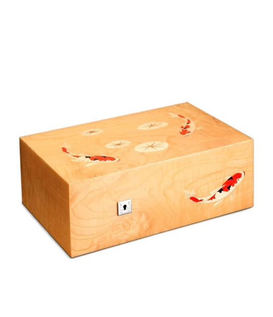 Siglo Koi Fish Humidor now available at Au Cigars.