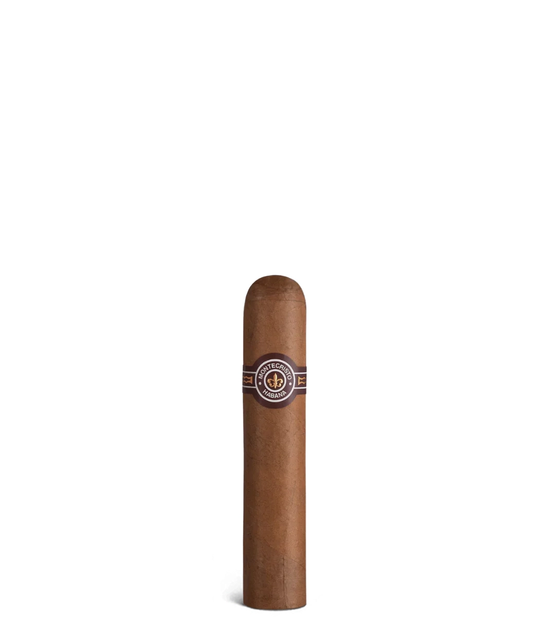 Montecristo Petit Edmundo  Cigar close-up from AuCigars, premium Cuban cigar