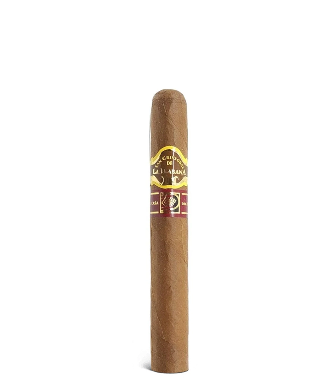San Cristobal De La Habana 20 Aniversario  Cigar close-up from AuCigars, premium Cuban cigar