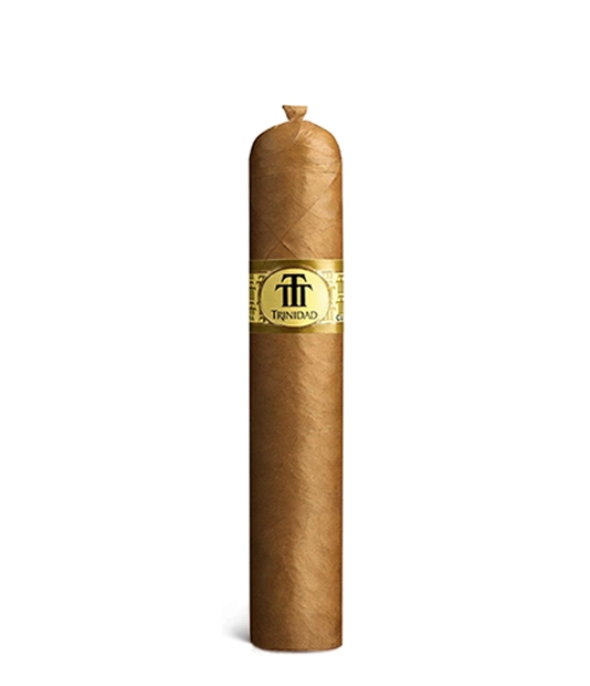 Trinidad Vigia Cigar close-up from AuCigars, premium Cuban cigar