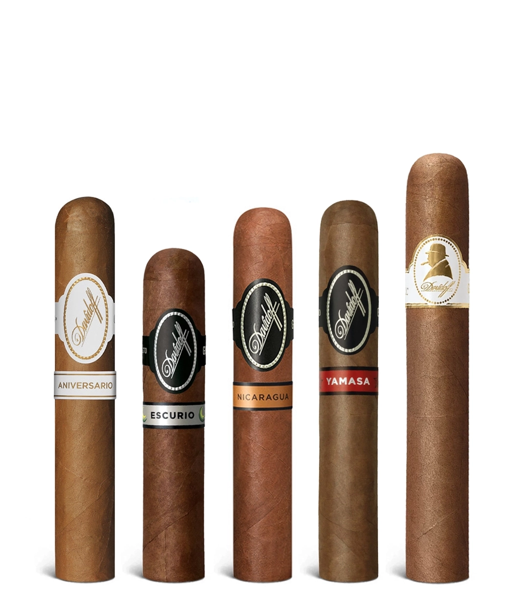 Davidoff Robusto Selection Sampler Box of 5 from AuCigars, premium Cuban cigar.