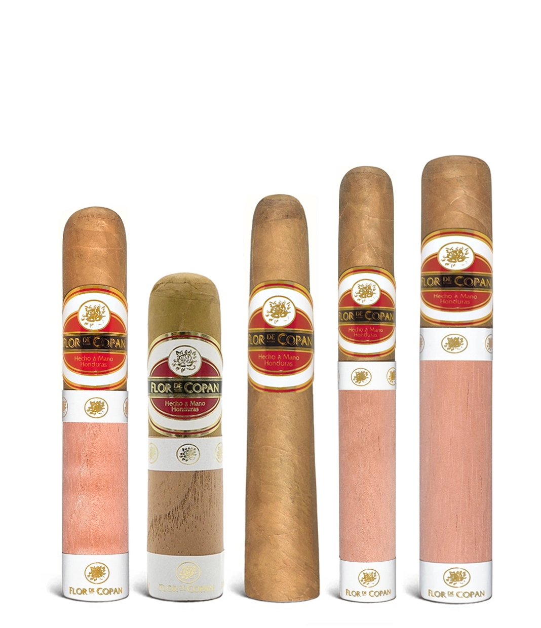 Flor De Copan Classic Combination Box of 50 from AuCigars, premium Cuban cigar.