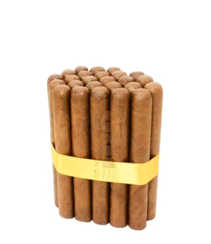 Robusto Extra
