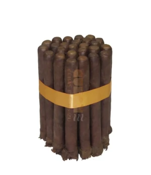 Toro Gorda