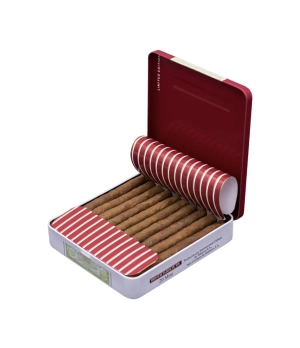 Romeo Y Julieta Mini 2024 Edition