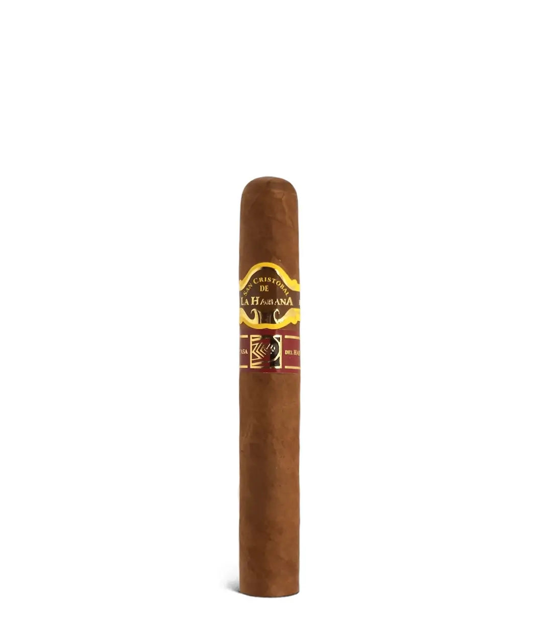 San Cristobal Jarra Torreon