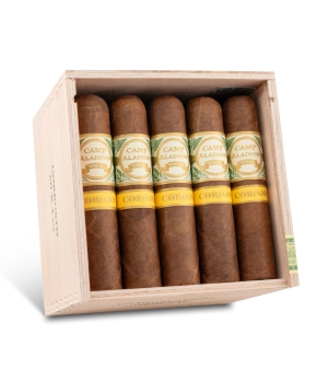 Aladino Camp Aladino Corojo Gorbusto