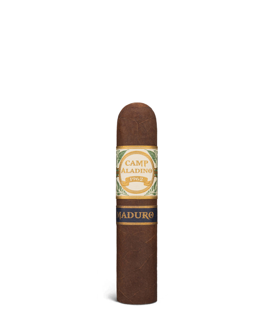 Aladino Camp Aladino Maduro Gorbusto Cigar close-up from AuCigars, premium Cuban cigar