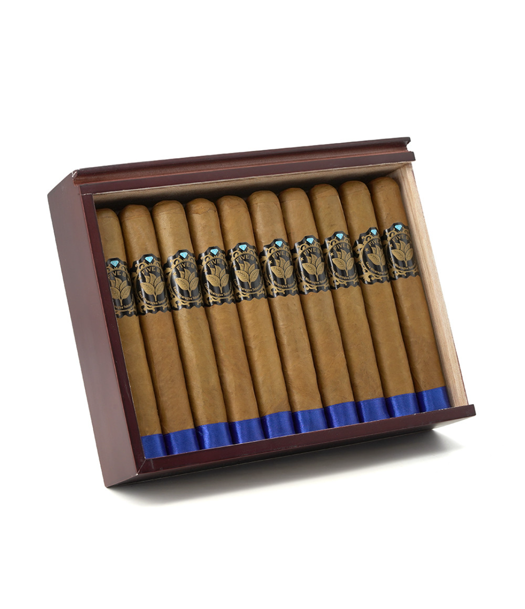 Casa Nicaragua Five B Esplendido Cigar Box of 20 close-up from AuCigars, premium Cuban cigar