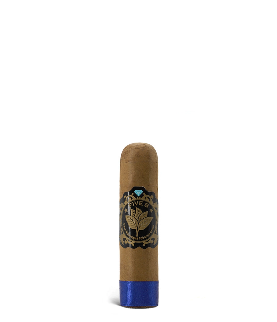 Casa Nicaragua Five B Short Gordo Cigar close-up from AuCigars, premium Cuban cigar