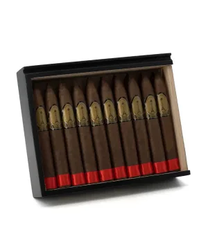Casa Nicaragua Paris Midnight Torpedo