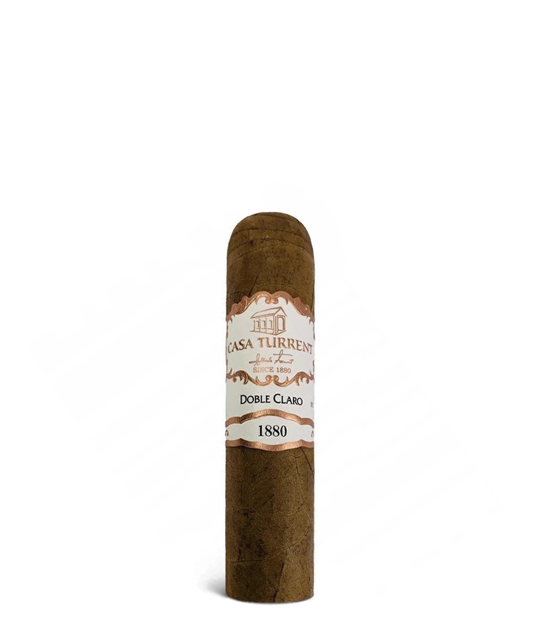 Casa Turrent 1880 Doble Claro Gordito 460 Cigar close-up from AuCigars, premium Cuban cigar