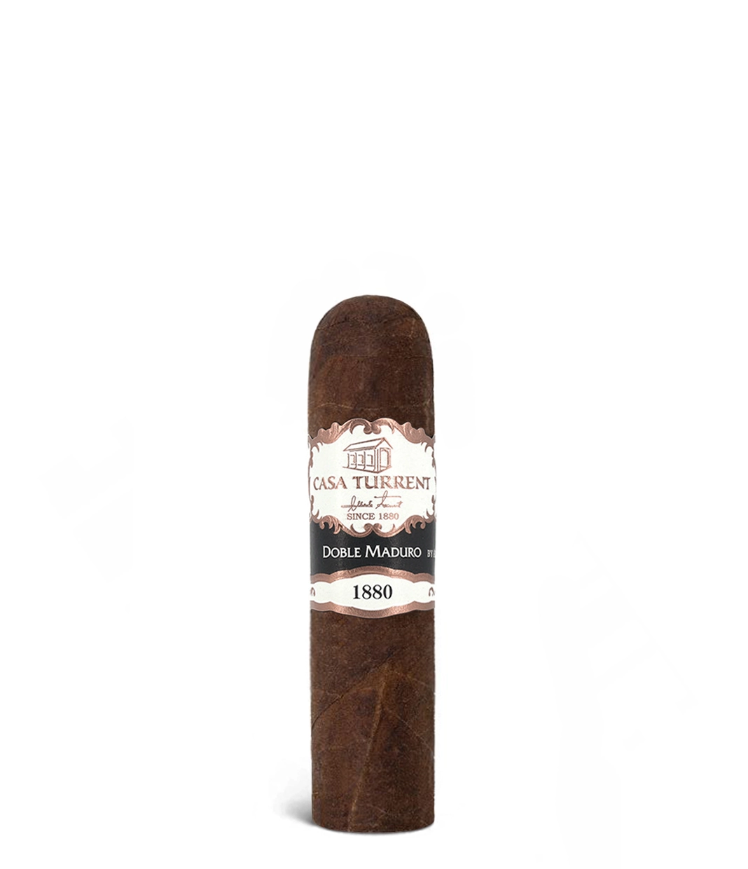Casa Turrent 1880 Doble Maduro Gordito 460 Cigar close-up from AuCigars, premium Cuban cigar