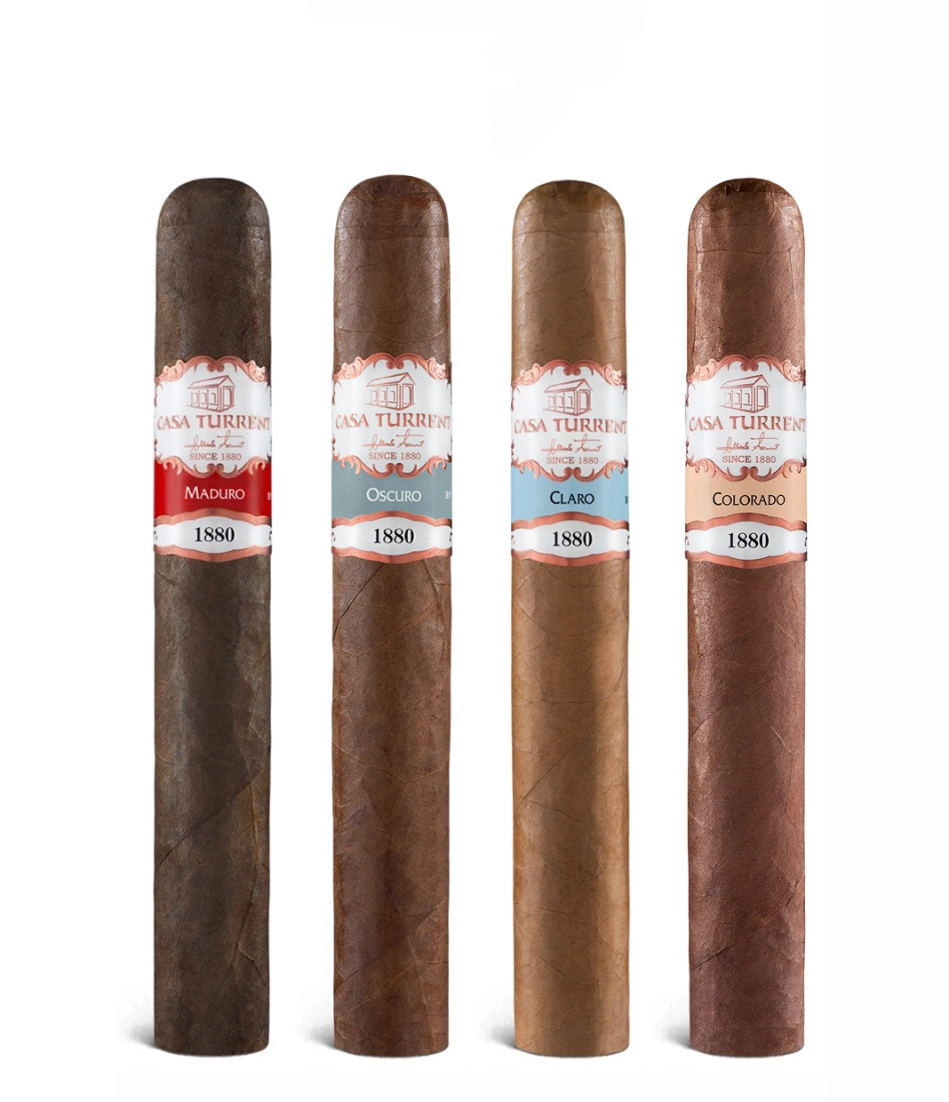 Casa Turrent 1880 Doble Robusto Gift Pack Cigar close-up from AuCigars, premium Cuban cigar