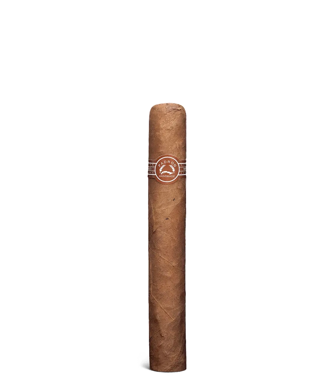 Padron Series 3000 Cigar close-up from AuCigars, premium Cuban cigar